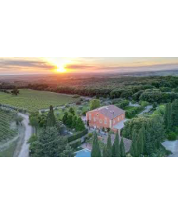 Tenuta di Biserno - Lodovico - 2018